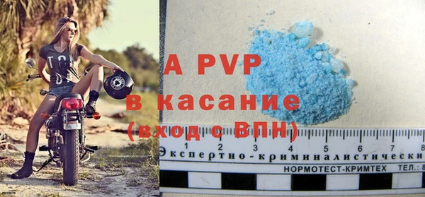 дживик Белокуриха