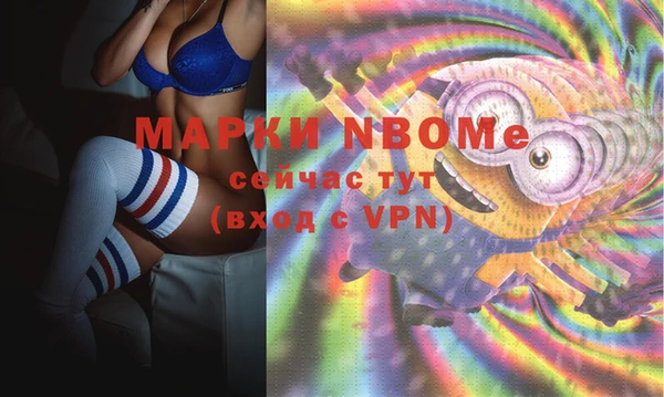 дживик Белокуриха