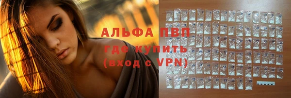 дживик Белокуриха