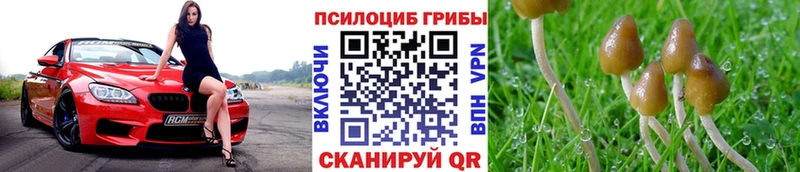 мориарти официальный сайт  Невьянск  Галлюциногенные грибы прущие грибы 